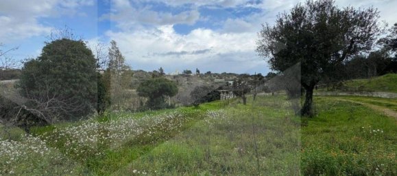 4-Zimmer Villa in Monopoli, Italy, Nr. 17139 2