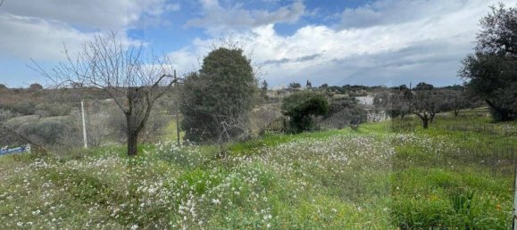 4-Zimmer Villa in Monopoli, Italy, Nr. 17139 3