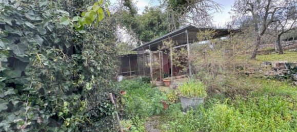 4-Zimmer Villa in Monopoli, Italy, Nr. 17139 7