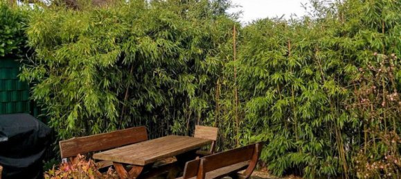 3 Schlafzimmer Stadthaus in Karlsruhe, Germany, Nr. 234200 22