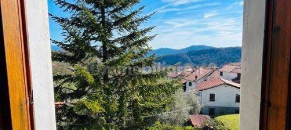 13 chambres Villa à Villafranca in Lunigiana, Italy No. 173778 15