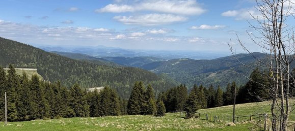 3-Zimmer Wohnung in Lobmingtal, Austria, Nr. 216698 2