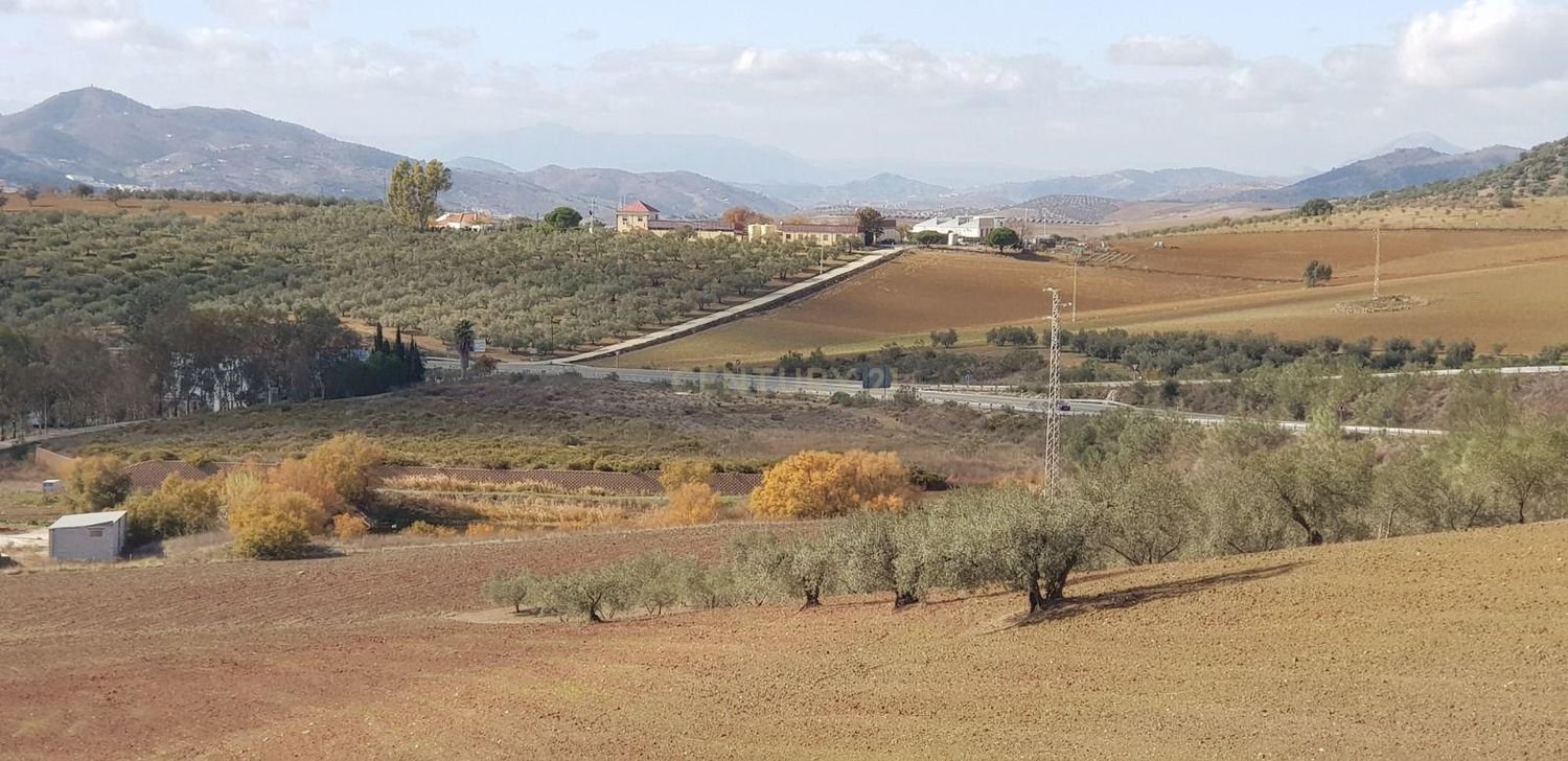 Grundstück in Colmenar, Spain, Nr. 148945