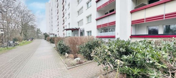 1 Schlafzimmer Wohnung in Wittenau, Germany, Nr. 227729 11