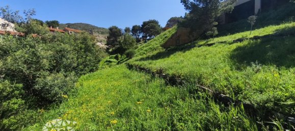 Terreno em Pyrenees-Orientales, France 727 m² N.º 336267 2