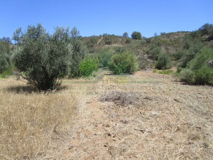 Terrain à Azinhal, Portugal 1560m² No. 69745