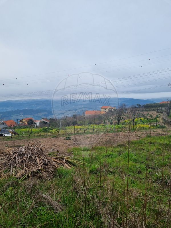 3 bedrooms House in Resende, Portugal No. 164855