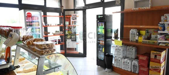 Gewerbliche Immobilie in Monopoli, Italy 180m², Nr. 327493 7