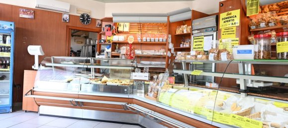 Gewerbliche Immobilie in Monopoli, Italy 180m², Nr. 327493 4