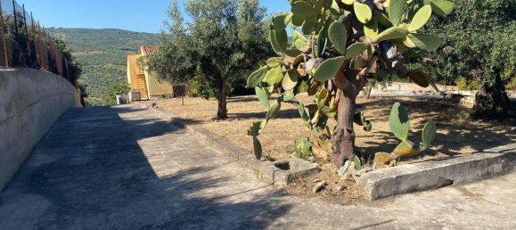 5 chambres Villa à Santa Flavia, Italy No. 349355 11