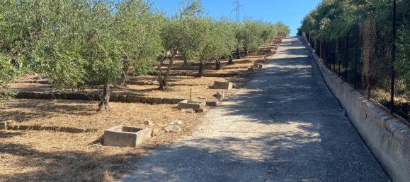 5 chambres Villa à Santa Flavia, Italy No. 349355 14