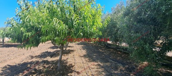 Villa de 3 divisões em Termini Imerese, Italy N.º 263447 19