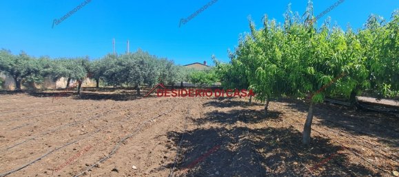 Villa de 3 divisões em Termini Imerese, Italy N.º 263447 14