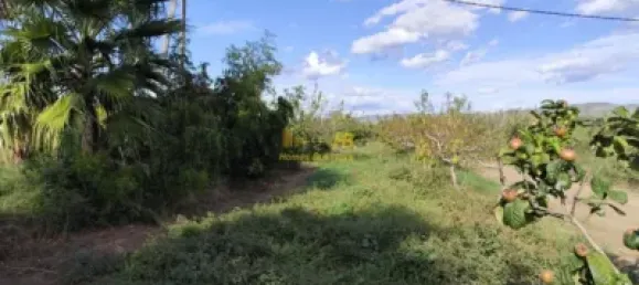7209m² Land in Tortosa, Spain No. 164497 3