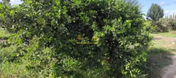 7209m² Land in Tortosa, Spain No. 164497 6