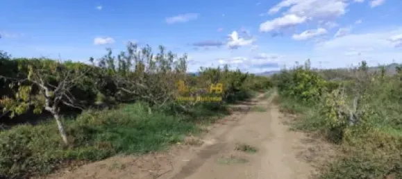 7209m² Land in Tortosa, Spain No. 164497 2