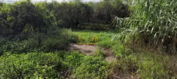 7209m² Land in Tortosa, Spain No. 164497 9