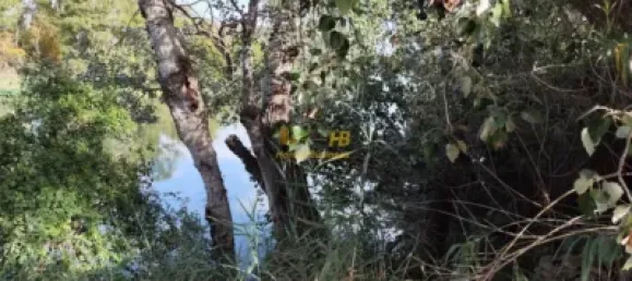 7209m² Land in Tortosa, Spain No. 164497 11