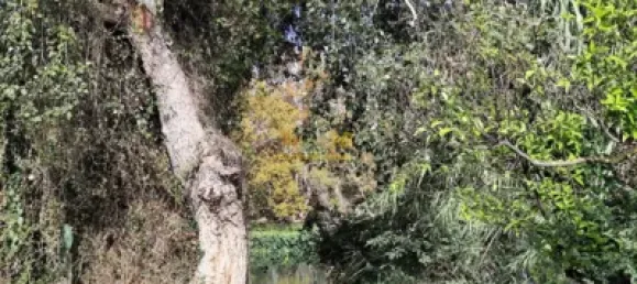 7209m² Land in Tortosa, Spain No. 164497 14