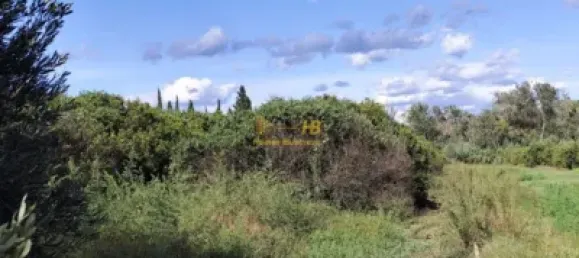7209m² Land in Tortosa, Spain No. 164497 4