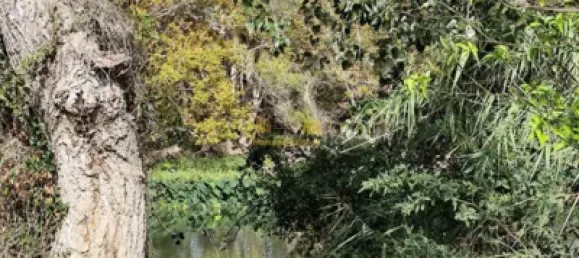 7209m² Land in Tortosa, Spain No. 164497 13