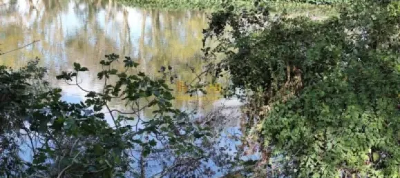 7209m² Land in Tortosa, Spain No. 164497 10