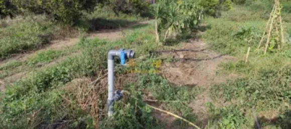 7209m² Land in Tortosa, Spain No. 164497 17