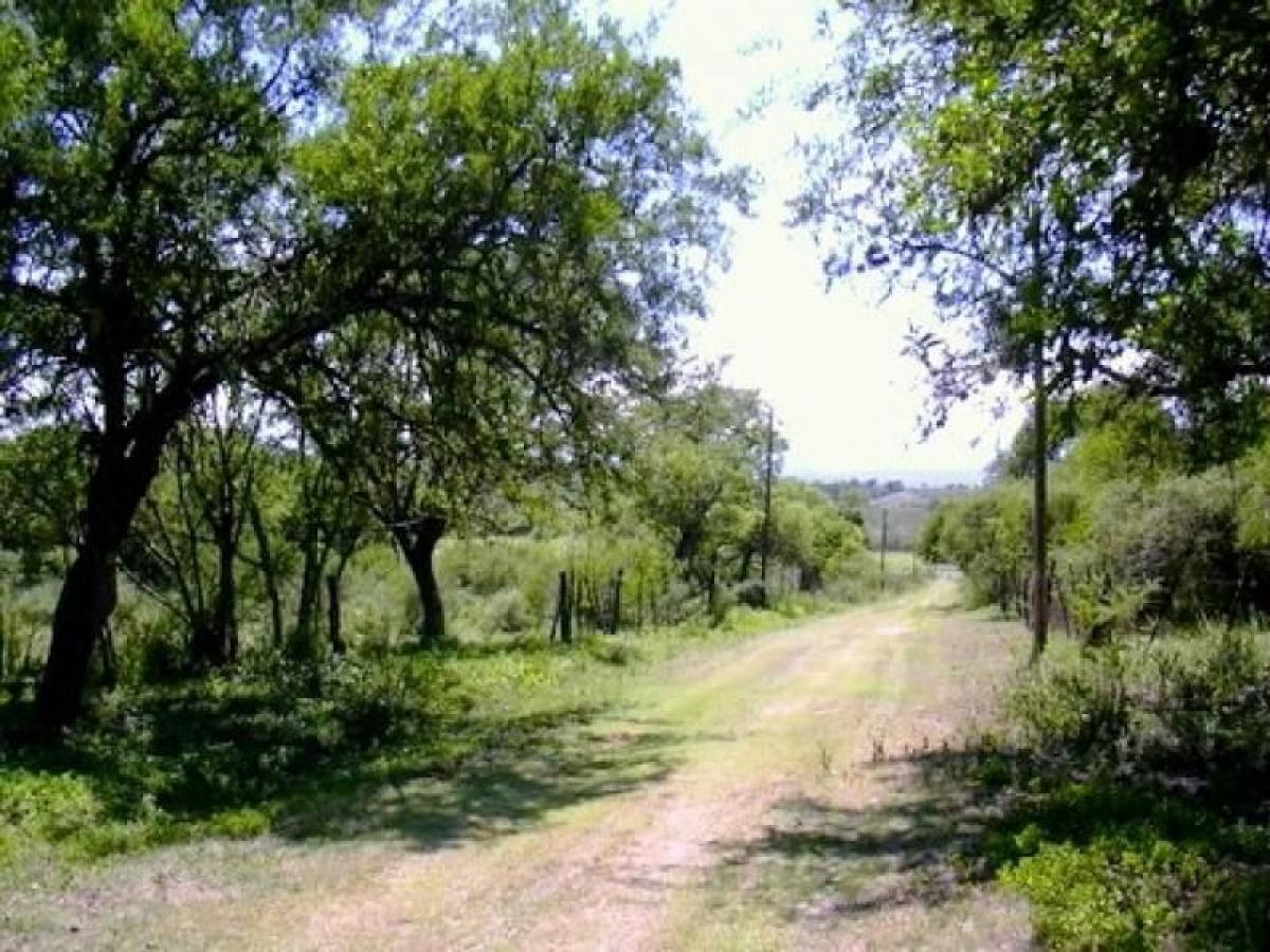 Terreno em Cordoba, Argentina N.º 37149