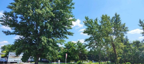 Земельный участок 701м² в Фрауэнкирхен, Австрия № 153209 5