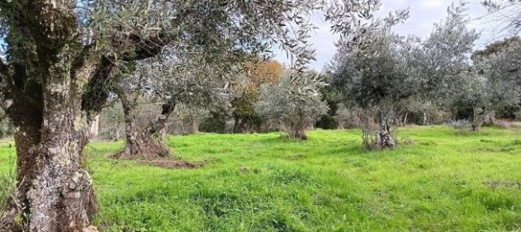 3 Schlafzimmer Haus in Marvao, Portugal, Nr. 220615 8