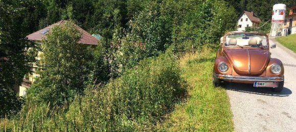 Terreno en Mariazell, Austria 529 m² No. 235923 3