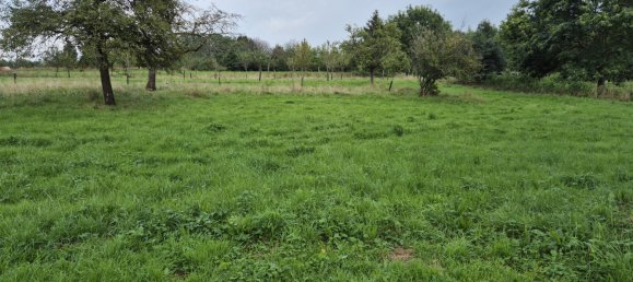 Дом с 4 спальнями в Эталь, Франция № 52045 25