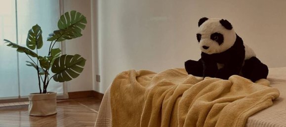 3 غرف نوم شقة في Milan, Italy رقم 244702 14