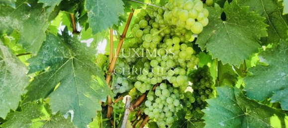 Casa T4 em Santa Marta de Penaguião, Portugal N.º 139871 22