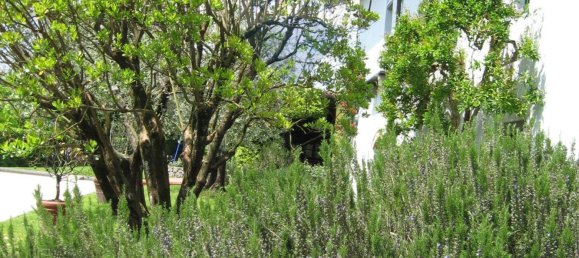 4 chambres Villa à Barga, Italy No. 53005 29