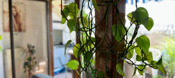 Studio in Nuremberg, Germany No. 181871 8