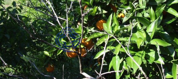 5 bedrooms Building in Oledo, Portugal No. 74658 11