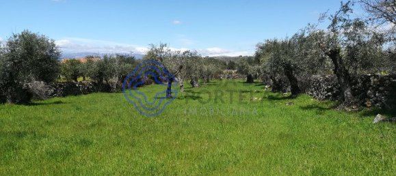 5 bedrooms Building in Oledo, Portugal No. 74658 9