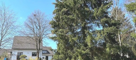 Casa T3 em Trier-Saarburg, Germany N.º 127135 23