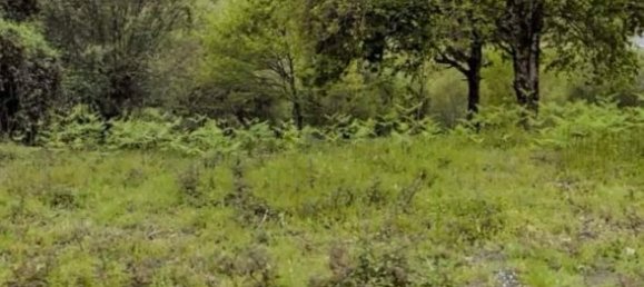 2400m² Land in Basque Autonomous Community, Spain No. 165830 7