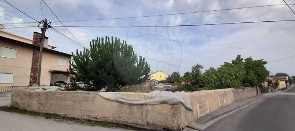 3 bedrooms House in Tentugal, Portugal No. 29968 2