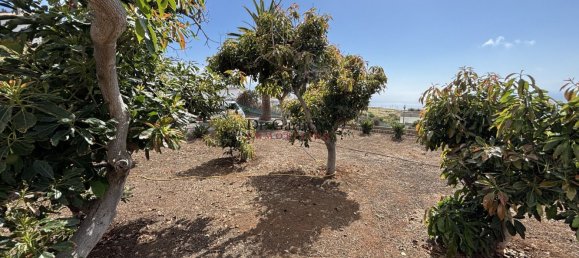 Casa T5 em Tacoronte, Spain N.º 155304 2