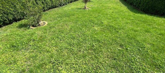 4غرفة بنغالو في Prignitz, Germany رقم 264846 3