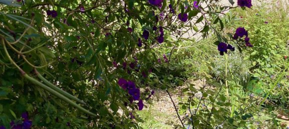 4 غرف نوم منزل في Roujan, France رقم 334467 22