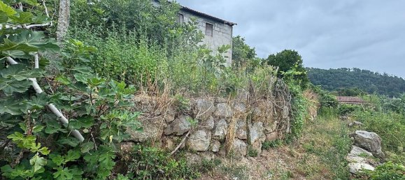 1 Schlafzimmer Haus in Marco de Canaveses, Portugal, Nr. 30081 8