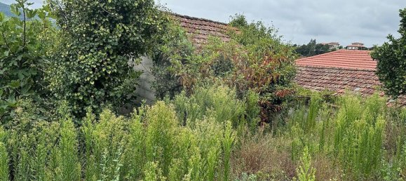1 Schlafzimmer Haus in Marco de Canaveses, Portugal, Nr. 30081 9