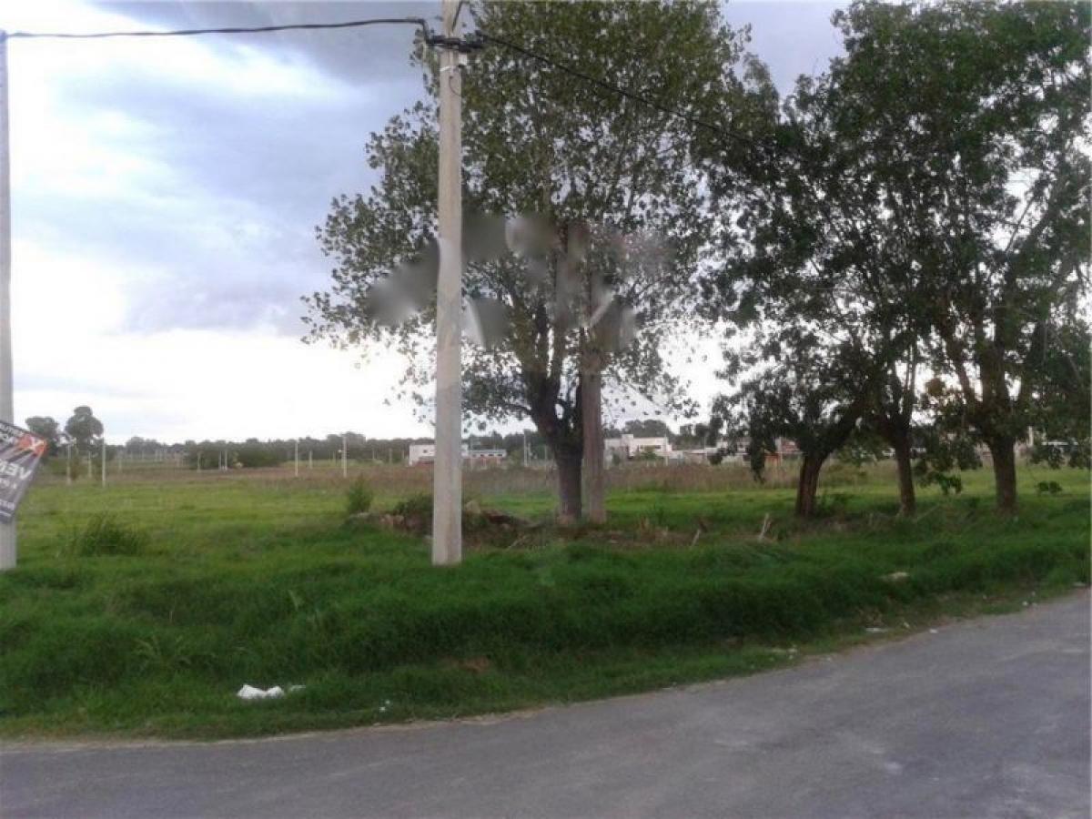  Land in Campo Creado, Argentina No. 48132