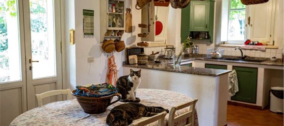 10 rooms Villa in Capalbio, Italy No. 300110 15