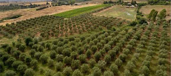 10 rooms Villa in Capalbio, Italy No. 300110 44