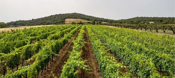 10 rooms Villa in Capalbio, Italy No. 300110 45